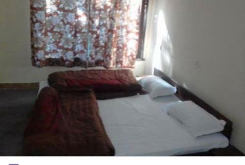 Shekhar Big Cat Corbett Safari Camp