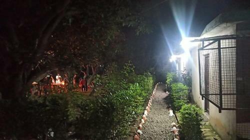 Shekhar Big Cat Corbett Safari Camp