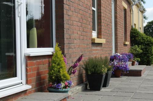 Brynhaul Bed And Breakfast