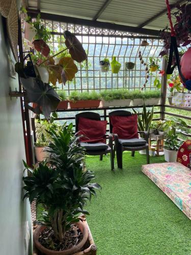 Bed & Breakfast Newa House