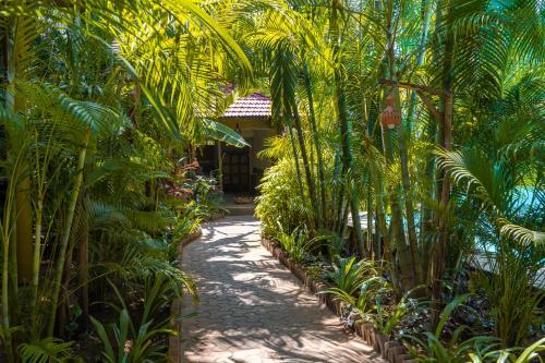 Hotel Justa Morjim Beach Resort Goa