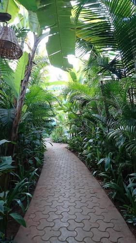 Hotel Justa Morjim Beach Resort Goa