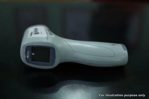 Oyo Flagship 82759 Hotel The Skyland