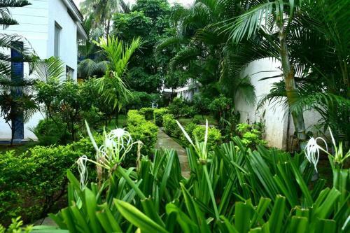 Smartvistas-004 Eternal Wave 2bhk Apartment Calangute