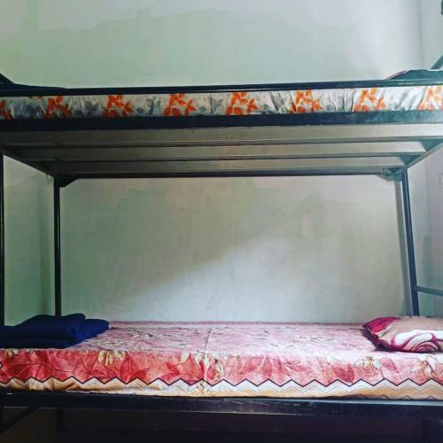 Rewa's Hostel