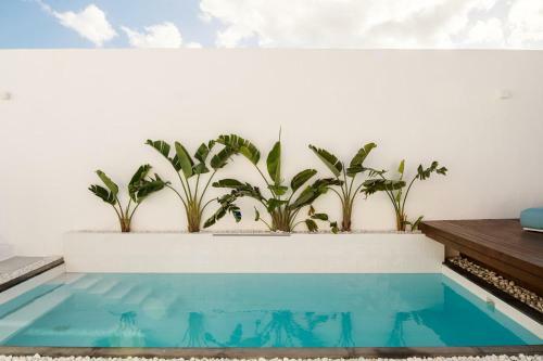 Villa Areca