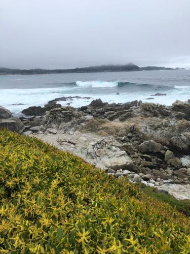 Comfort In Carmel