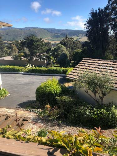 Comfort In Carmel