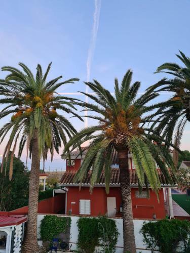 Casa Coqueta