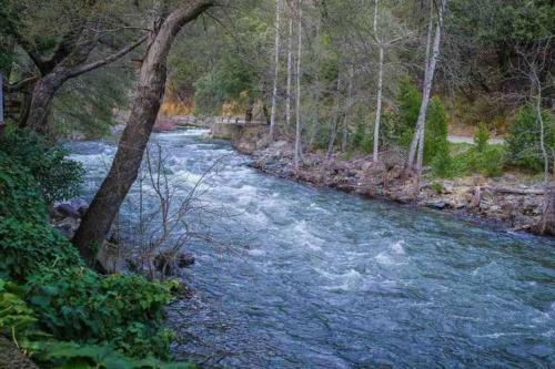 River Oak Retreat - Upper Sacramento Riverfront!