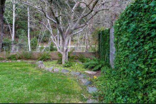 River Oak Retreat - Upper Sacramento Riverfront!