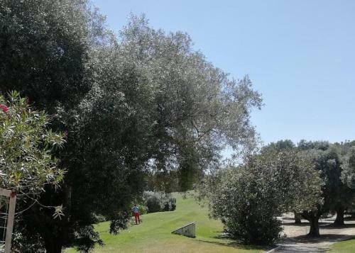 Apartamento Casa Joleen 1