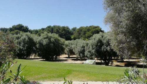 Apartamento Casa Joleen 1