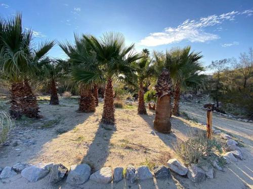 Hara House At Bubbling Wells Oasis