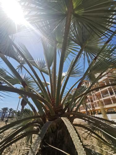 Spain Apartments Mar De Cristal