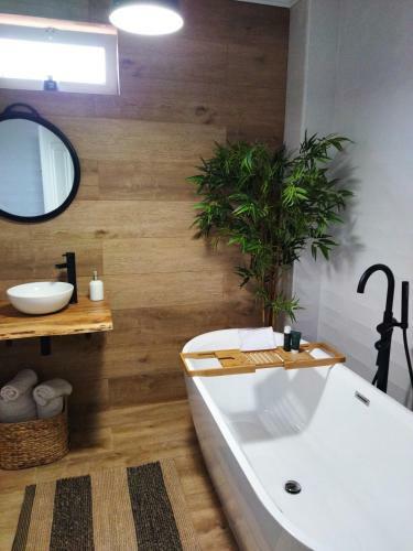 Apartamento Piso Grande Con Terraza