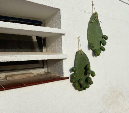 Gm House Minorca