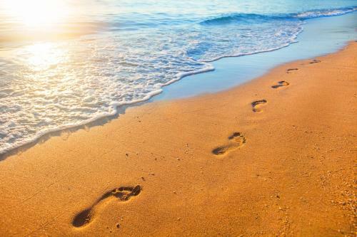 Luxury Beachfront Penthouse Walk To The Beach Restaurants Entertainment