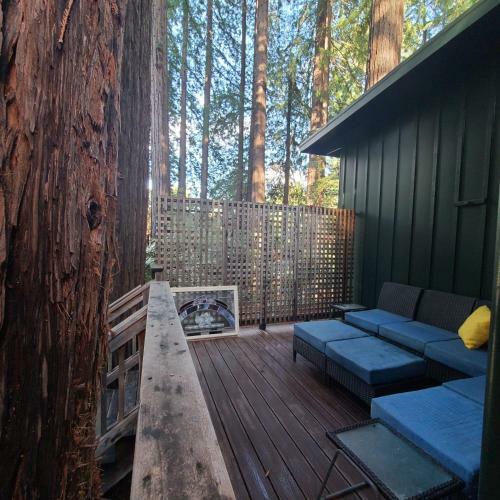 Dhyana Redwoods Fire Table Nearby River Access Ping Pong & Arcade Games