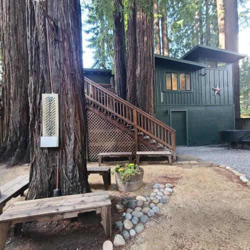 Dhyana Redwoods Fire Table Nearby River Access Ping Pong & Arcade Games