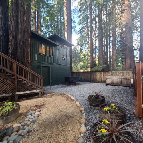 Dhyana Redwoods Fire Table Nearby River Access Ping Pong & Arcade Games