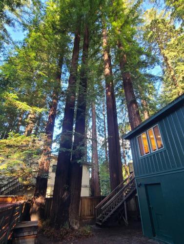 Dhyana Redwoods Fire Table Nearby River Access Ping Pong & Arcade Games