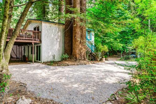 Creek House