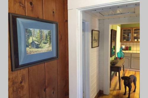Vans Yosemite Garden Cottage
