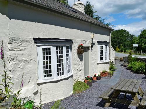 Ty Newydd