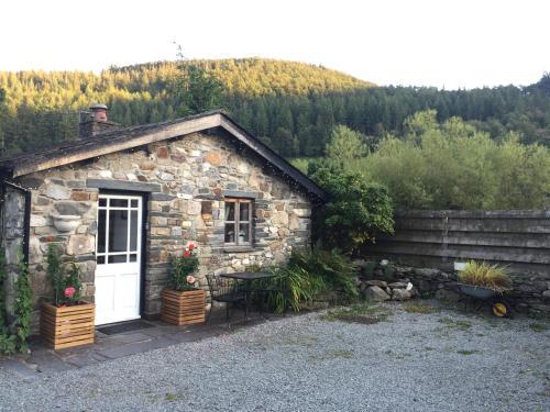 Dolweunydd Bed And Breakfast