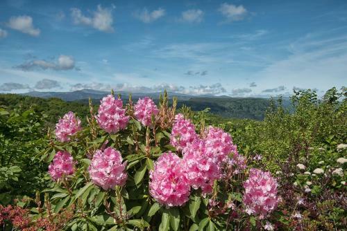 Hostal Tan-y-foel Country Guest House