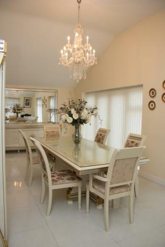 Bed & Breakfast Deneview