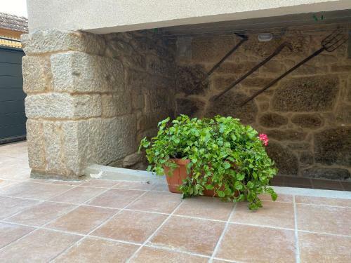 Apartamento Casa Xesteira