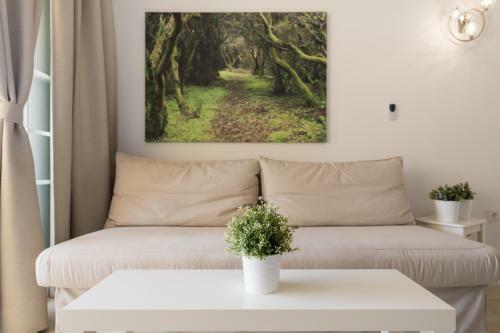 Apartamento Casa Mencey