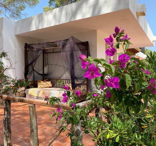 Ibiza Yoga - Villa Nova 1