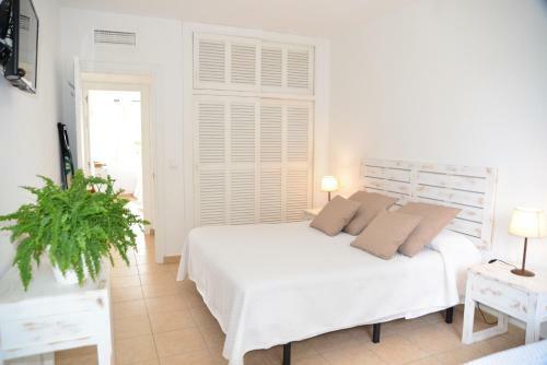 Apartamentos Costamar 1; Apartamento N�11