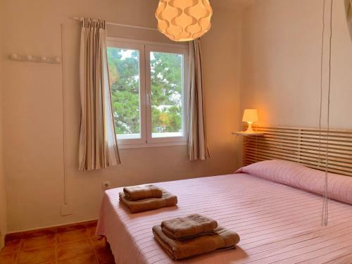 Apartamentos Rex Con 2 Camere Da Letto