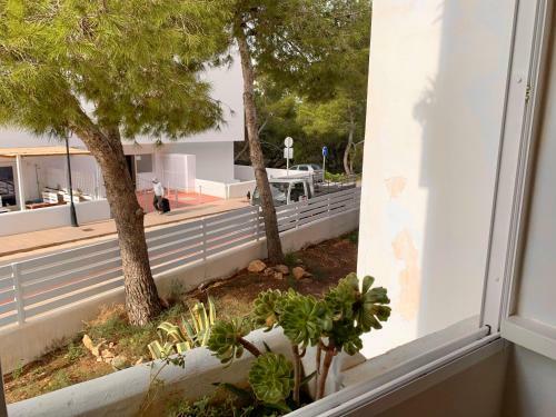 Apartamentos Rex Con 2 Camere Da Letto