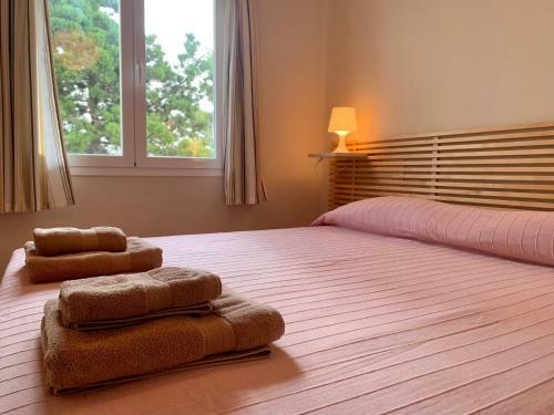 Apartamentos Rex Con 2 Camere Da Letto