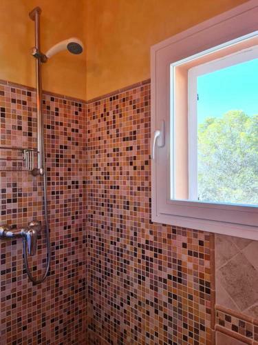 Apartamentos Rex Con 2 Camere Da Letto