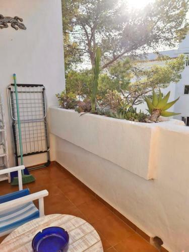 Apartamentos Rex Con 2 Camere Da Letto