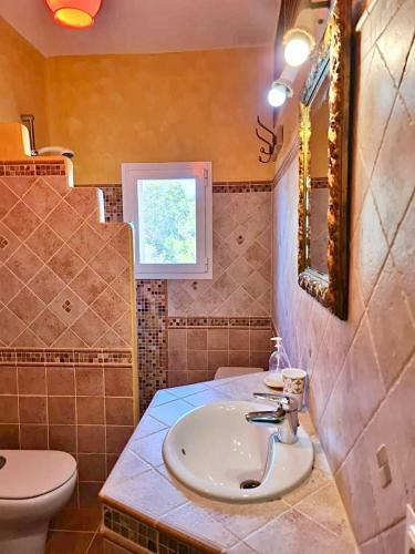 Apartamentos Rex Con 2 Camere Da Letto