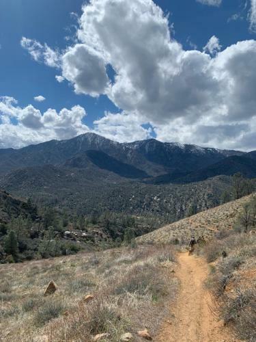 Lodge Socal Camping