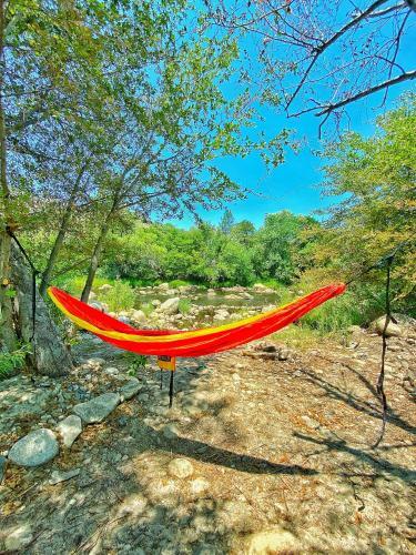 Lodge Socal Camping