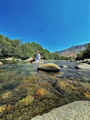 Lodge Socal Camping
