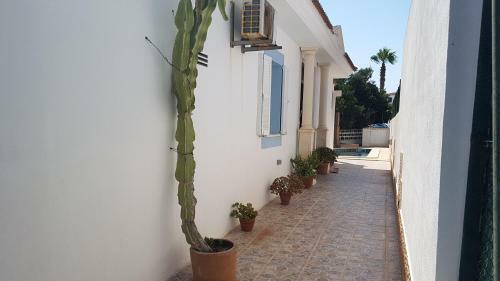 Villa Hanei