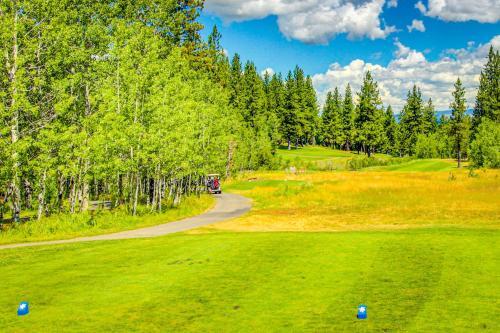 Truckee Treat