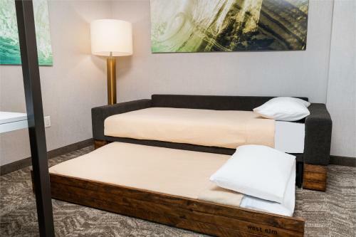 Hotel Springhill Suites By Marriott Irvine Lake Forest