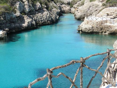 Fonoll Mar�