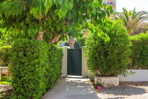 Apartamento Apto A 1 Min De Cala Forcat Dm31